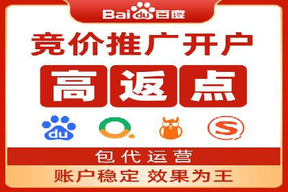 某电商平台的SEM关键词策略及成效分析