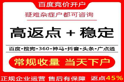 百度竞价推广成功案例解析